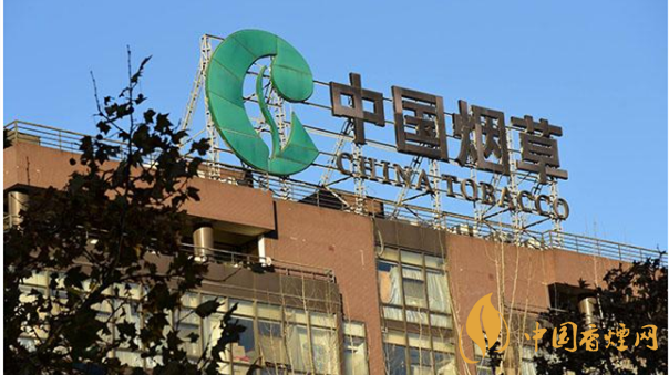 香煙漲價最新消息2020：香煙漲價真的能控?zé)焼?>
                                    <span>香煙漲價最新消息2020：香煙漲價真的能控?zé)焼?/span>
                                    <p>現(xiàn)在我國煙民的基數(shù)在不斷增大，而且有越來越多的青少年加入吸煙</p>
                                </a>
                            </li>
                                                                                </ul>
                    </div>

                </div>
            </div>
        </div>
    </div>

    
<link rel=