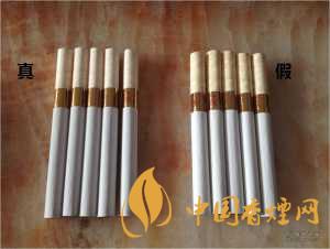 黃金葉天葉真假識別