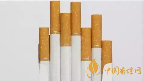 香煙和雪茄哪個好抽？香煙和雪茄八大區(qū)別介紹2020