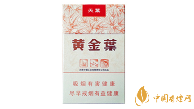 黃金葉天葉真假怎樣區(qū)分？黃金葉天葉真假識別