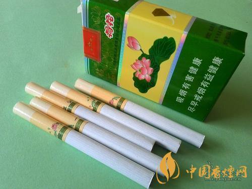 鉆石一品荷花價格2025 鉆石一品荷花怎么樣