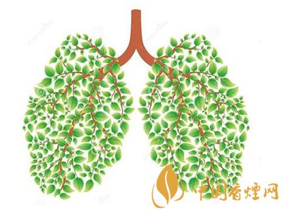 相比癌癥慢阻肺疾病離吸煙者更近！