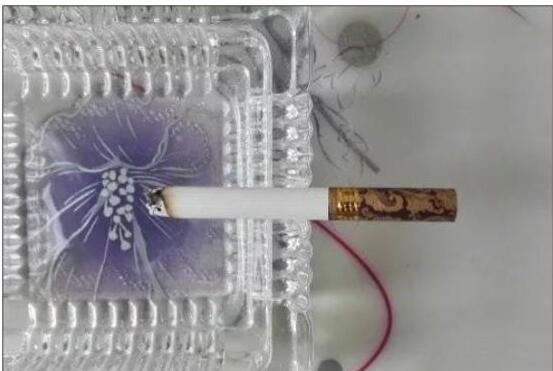 黃鶴樓漫天游，除了短貴沒(méi)別的毛病