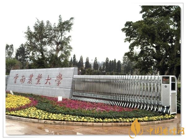 煙草專業(yè)大學(xué)排名，煙草專業(yè)就業(yè)前景好