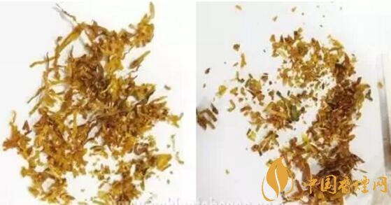 冬蟲夏草（和潤）真假鑒別，春節(jié)防止被騙