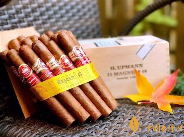 哈瓦那雪茄(烏普曼瑪瑙46)價(jià)格表圖 烏普曼瑪瑙46多少錢(qián)