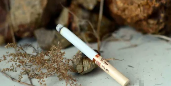 四川中煙長(zhǎng)城雪茄哪款好抽 新品萬(wàn)里長(zhǎng)城雪茄味道如何(煙甜潤(rùn)香)